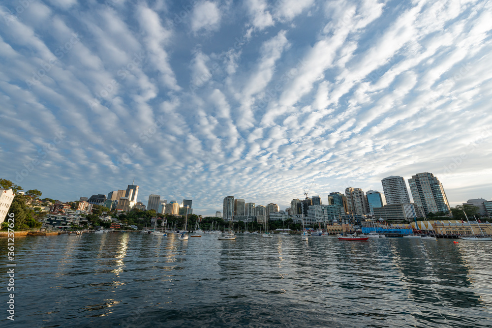 Fototapeta premium Downtown Sydney skyline in Australia