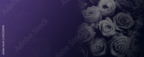 wallpaper black and white rose flower bouquet dark violet background,nature,object,name card, copy space