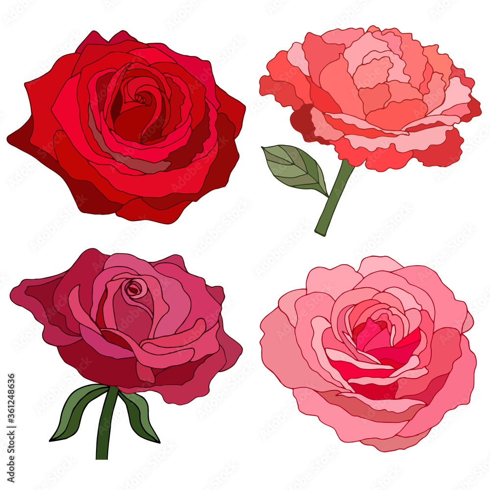 Flowers set. The rose elegant card. Vector illustration. Flowers set. The rose elegant card. Vector illustration.