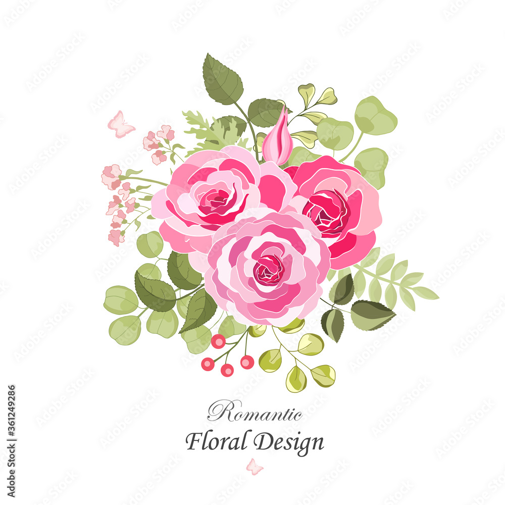 Flowers set. The rose elegant card. Vector illustration.