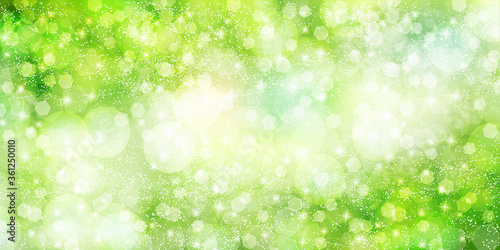 新緑　光　空　背景