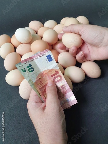 investment in organic egg with european money for healthy food photo