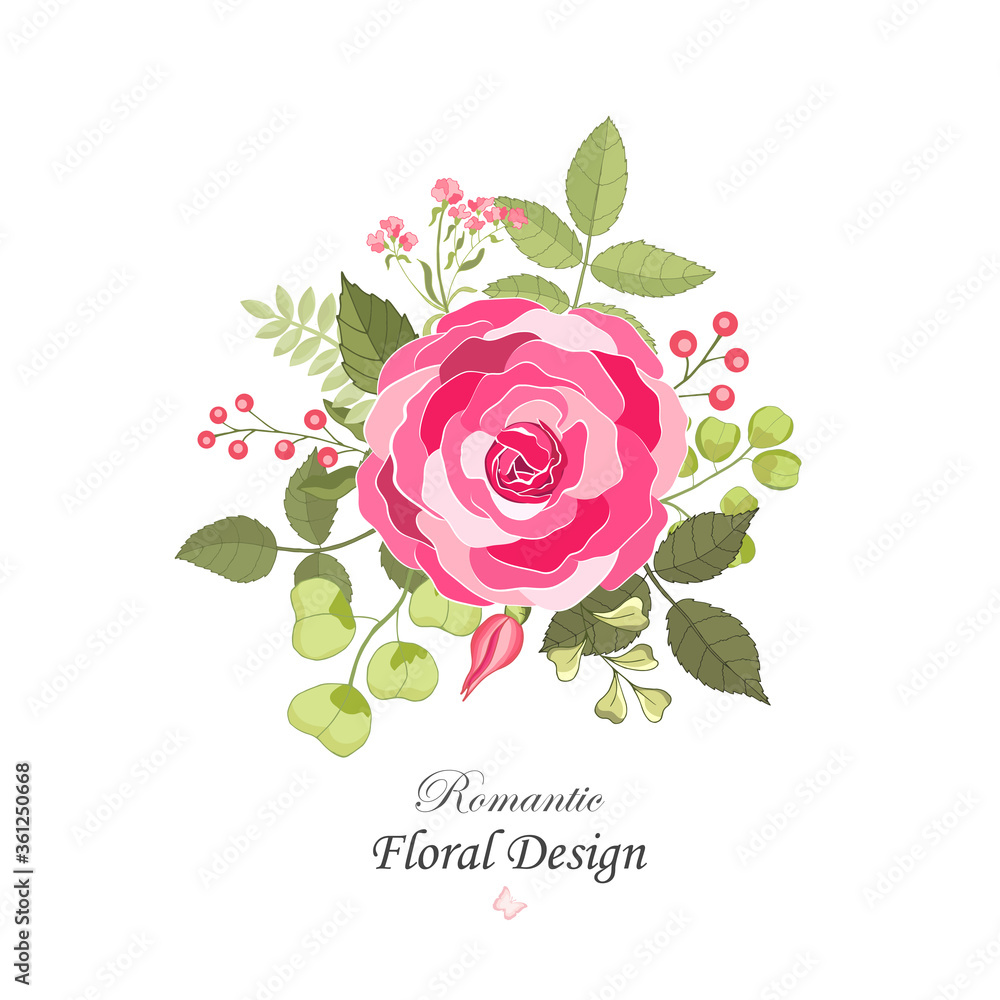 Flowers set. The rose elegant card. Vector illustration. Flowers set. The rose elegant card. Vector illustration.