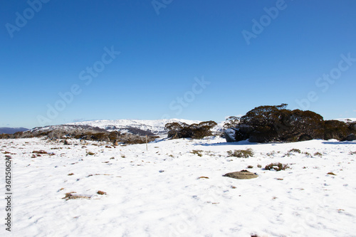 winter landscape with snow covered rocks