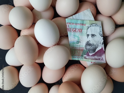 investment in organic egg with uruguayan money for healthy food photo