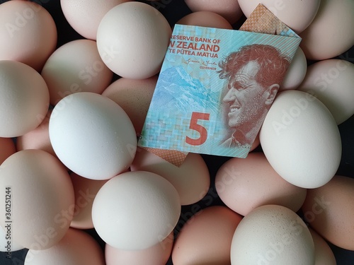 investment in organic egg with New Zealand money for healthy food photo