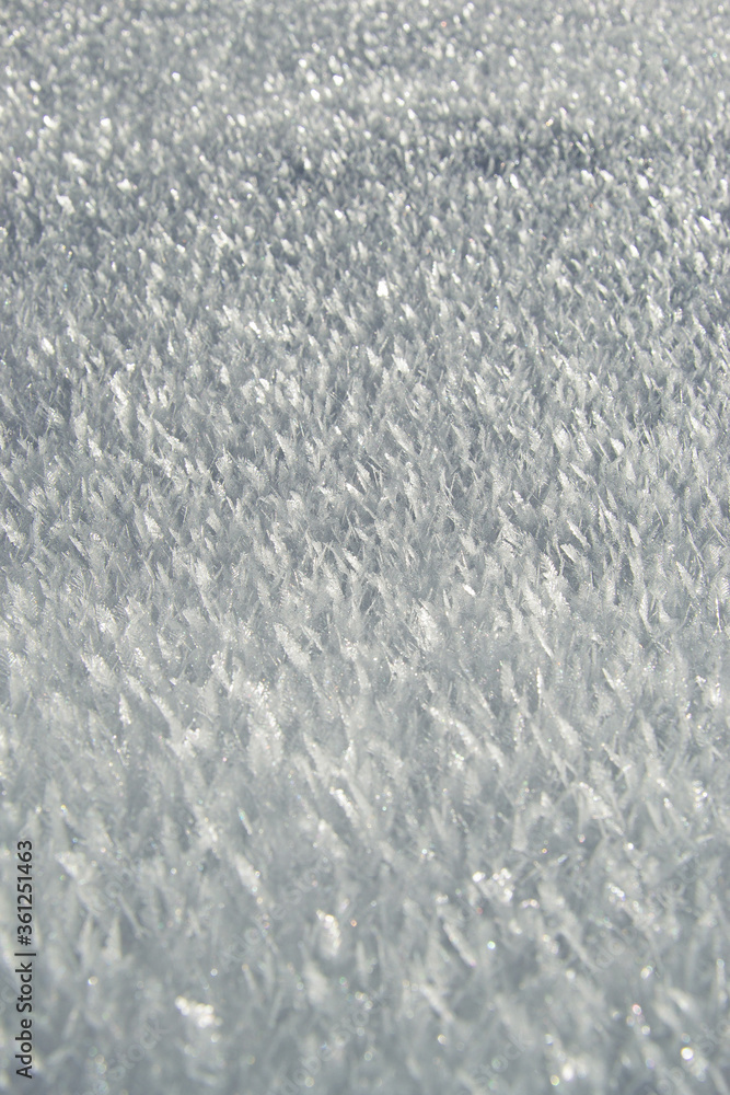 Obraz premium snow background texture