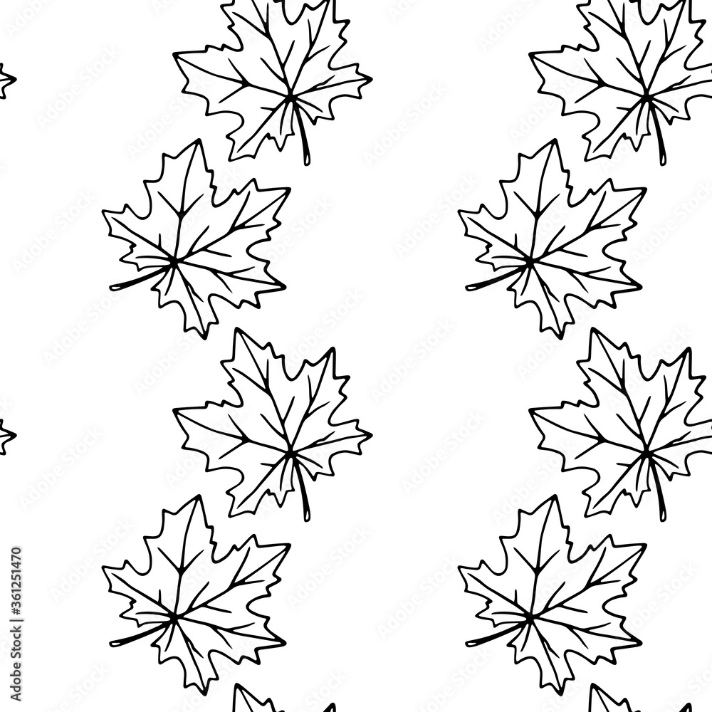 Seamless pattern of contoured maple leaves isolated on a white ...