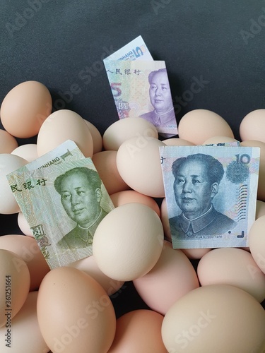 investment in organic egg with chinese money for healthy food photo