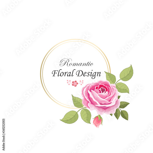 Flowers set. The rose elegant card. Vector illustration.