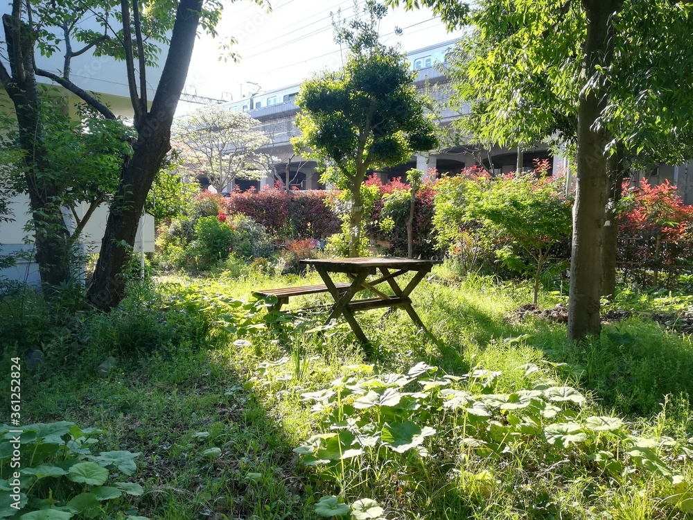 Obraz premium nature in japan、日本の自然、日本の春夏