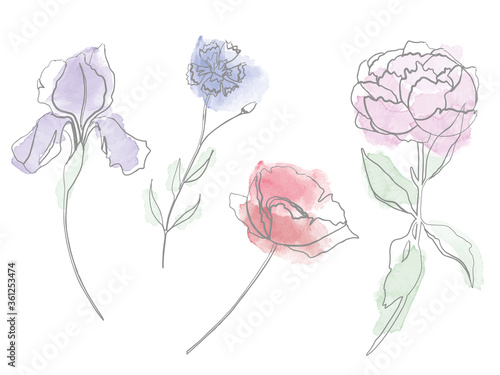 Vector watercolour set of different flowers. Iris, poppy, peony and cornflower