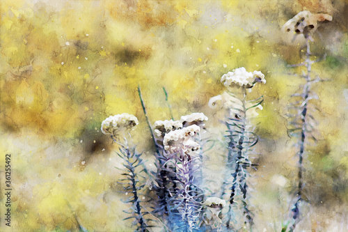 Abstract painting of flowers in spring season, nature landscape image, digital watercolor illustration, art for background