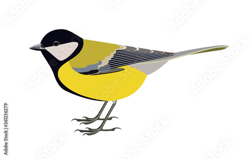 Bird vector illustration. Side view.