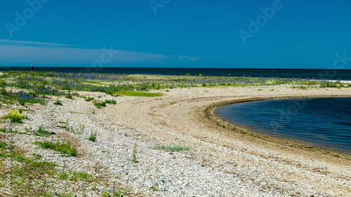 traditional Saaremaa seascape  Baltic Sea  Saaremaa Island  Sorves Peninsula  Estonia