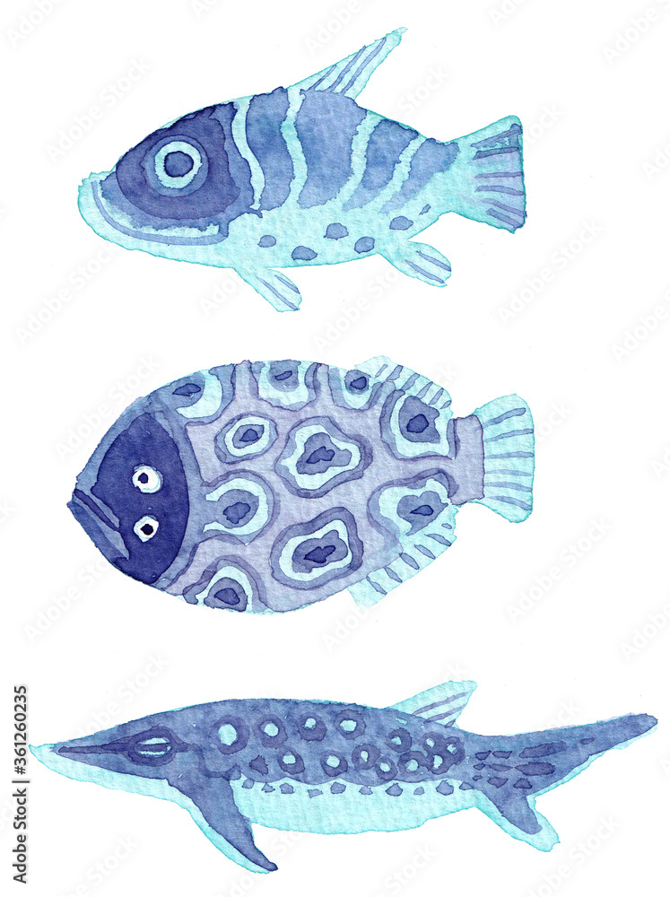 Fototapeta premium 青の魚たち