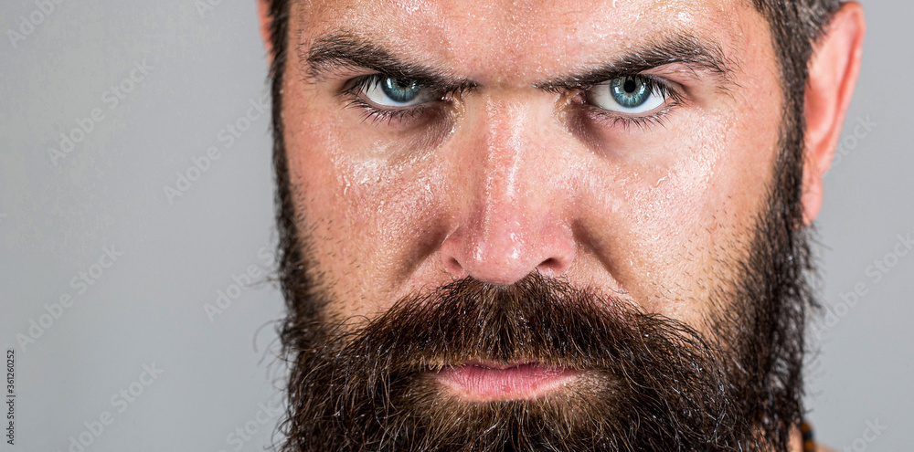 Obraz premium Portrait brutal bearded man. Handsome brutal male. Sexy closeup portrait of brutal handsome male, black beard. Portrait of masculinity. Sexy look of male. Hipster man with beard, mustache