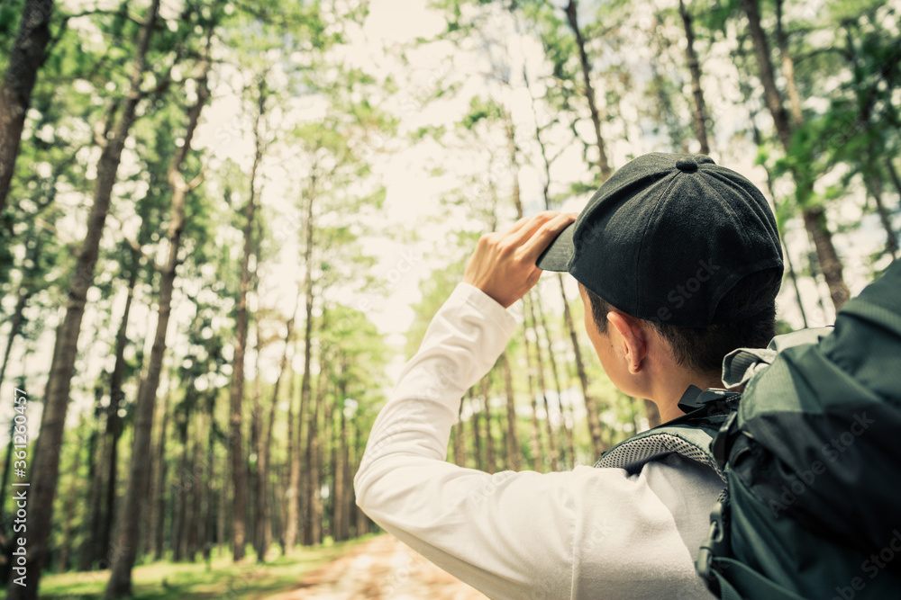 Asian man hiking in pine forest at sunny day time Asian man hiking in pine forest at sunny day time
