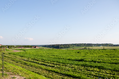 Wallpaper Mural Field with green grass outside the city Torontodigital.ca