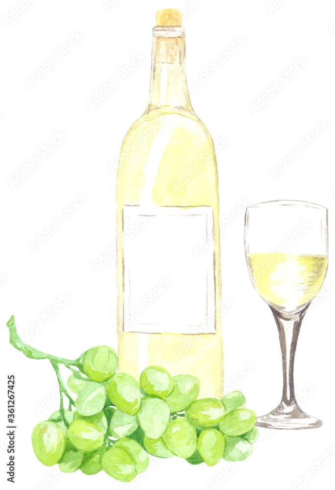 Watercolor illustration of a white grape wine bottle. Perfect for printing, textile, web design, souvenir products and other creative ideas. Watercolor illustration of a white grape wine bottle. Perfect for printing, textile, web design, souvenir products and other creative ideas.
