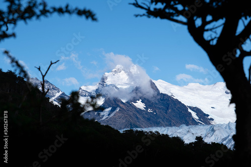 Landscape of Perito Moreno glacier blue ice from the trees