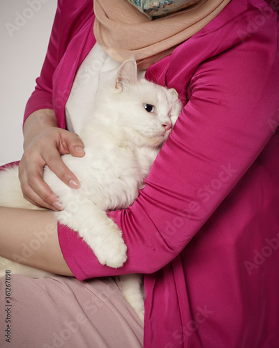 white cats are spoiled in the lap of their owners like babies.