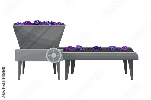 Destemmed Grapes Rested on Conveyor Belt as Sorting Process Vector Illustration