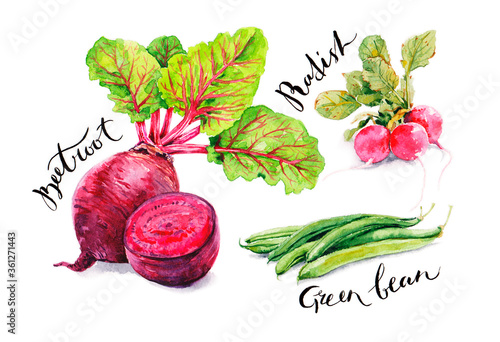 Beetroot, radish and green been