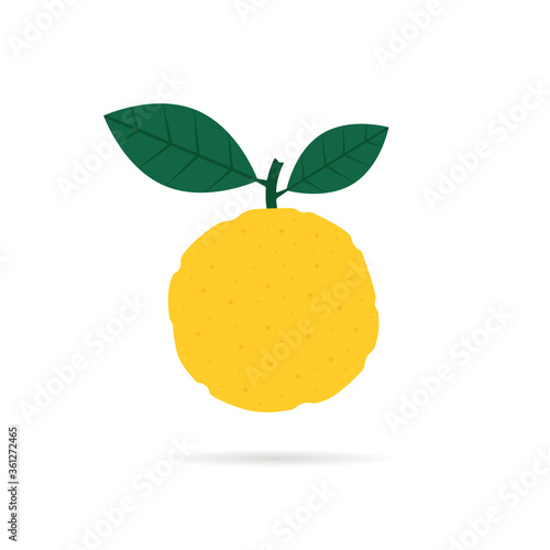 yellow yuzu fruit icon with shadow