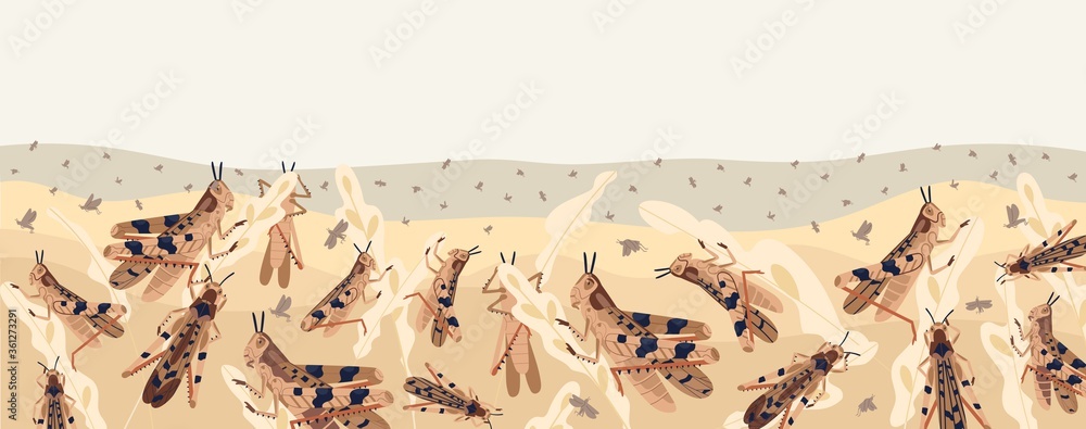 Colorful locusts attacking plants field horizontal background. Swarm of ...