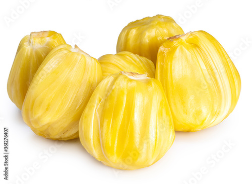 Fresh Jackfruit isolated on white background, Sweet Yellow Jackfruit isolated on white