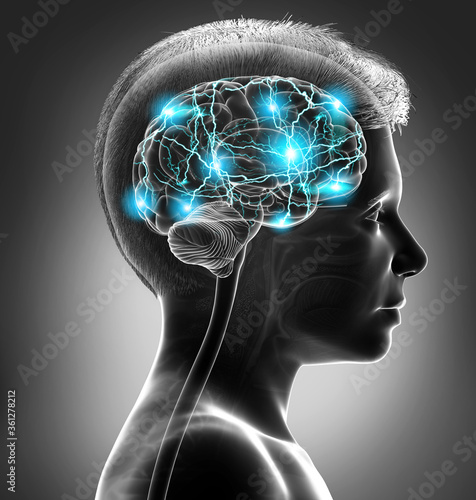 3d rendered, medically accurate illustration of a young boy active brain photo