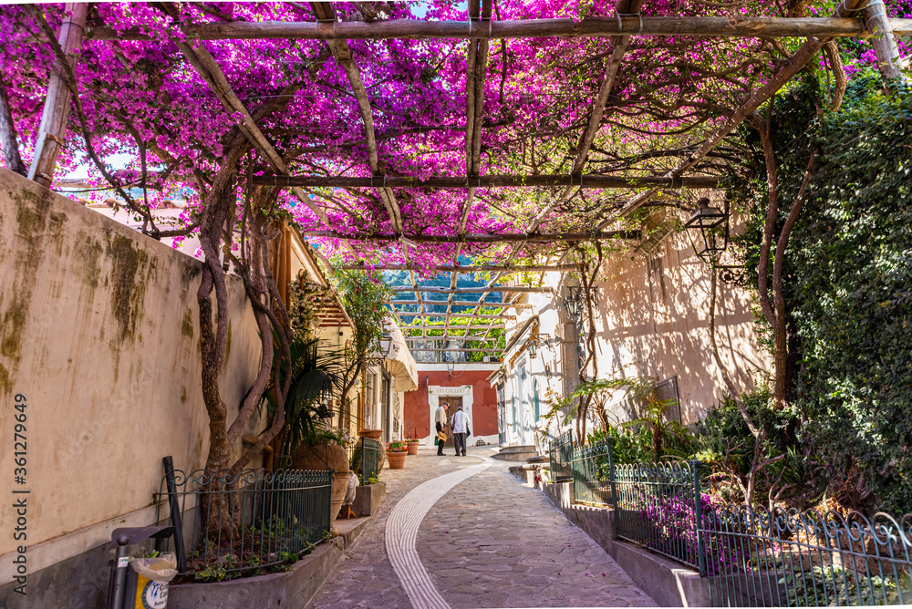 Foto Stock Positano, Italy. May 27th, 2020. Narrow street with a wonderful  bougainvillea-covered pergola in a picturesque street of Positano. | Adobe  Stock