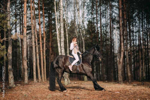 Bizzare young female in grey fur coat and white trousers training for rides on a big black horse outside. © benevolente