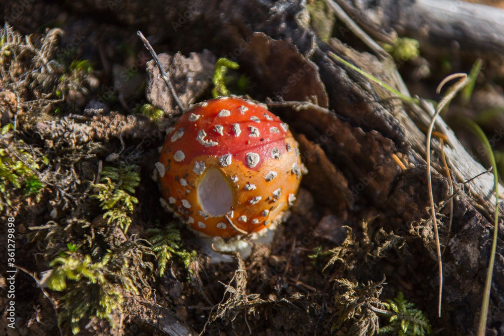 Die herbstliche Bergwelt der österreichischen Alpen Die herbstliche Bergwelt der österreichischen Alpen
