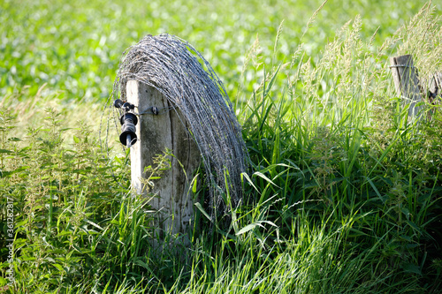 roll of barbed wired on a wooden post in an open field with high green grass