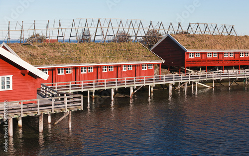 Coastal Norwegian town, traditional red wooden houses photo