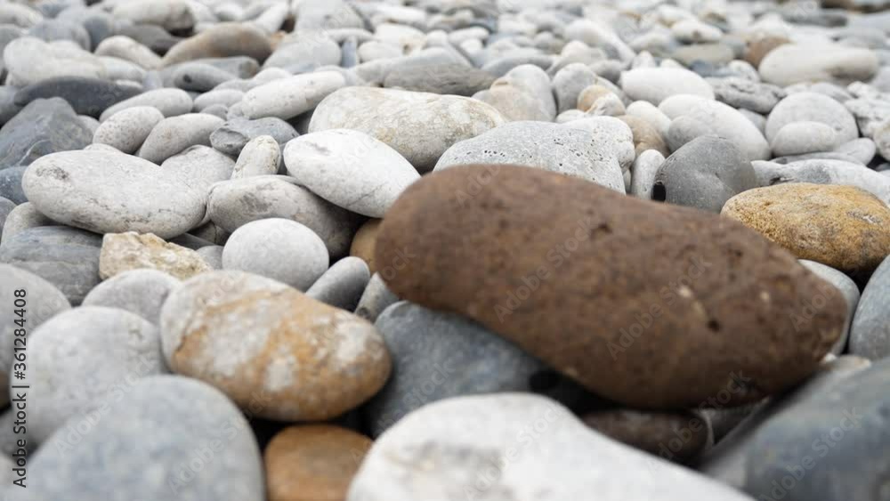 Many various pebble beach rounded smooth natural textured rocks harmony concepts tranquil pan left Many various pebble beach rounded smooth natural textured rocks harmony concepts tranquil pan left
