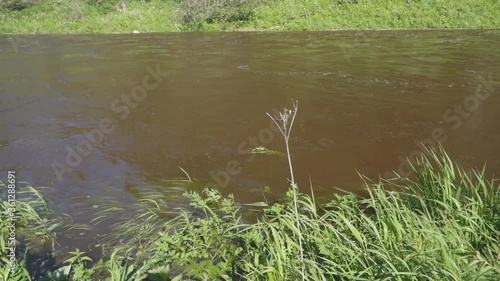 A river with grassy banks on a summer day. A place for fishing. Derzha River, Tver Region, Russia. photo