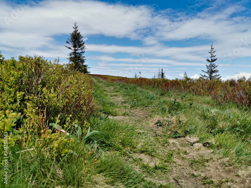 Spring landscape of the Zywiec Beskids