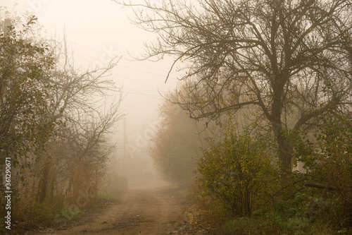 Misty dirt road. Fall landscape photography.