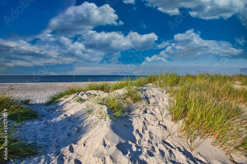 Fototapeta Naklejka Na Ścianę i Meble -  Baltic sea, Germany, Mecklenburg-Western Pomerania, Darß, Prerow, beach