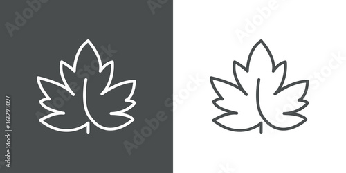 Concepto otoño. Icono plano lineal hoja de arce en fondo gris y fondo blanco