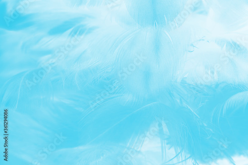 Beautiful blue turquoise vintage color trends feather pattern texture pastel background © nadtytok28