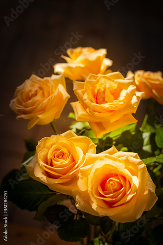 A bouquet of beautiful peach-coloured roses highlighted by sun against dark background