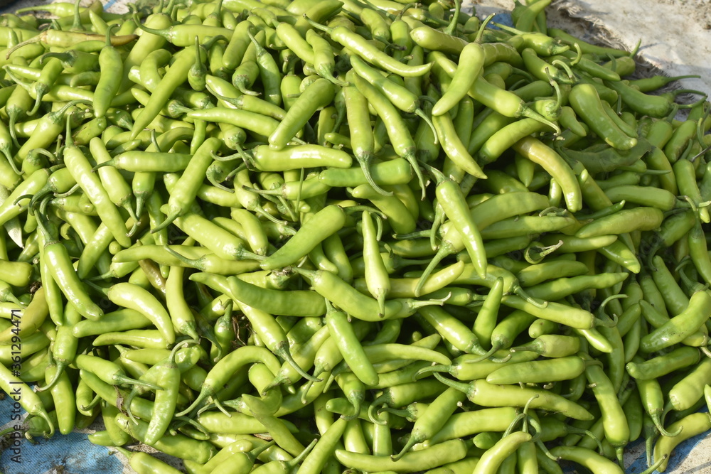 Vegetables for sale at India. Vegetables for sale at India.