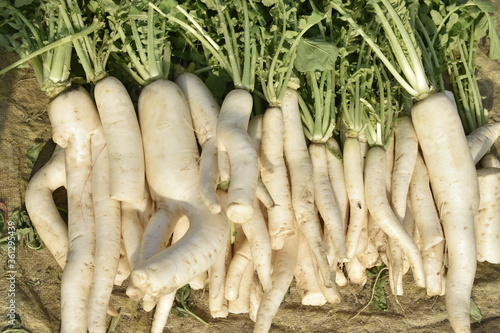 Vegetables for sale at India.