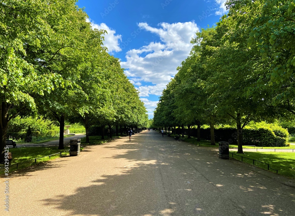 Tree-lined path in Regent's Park, London, United Kingdom