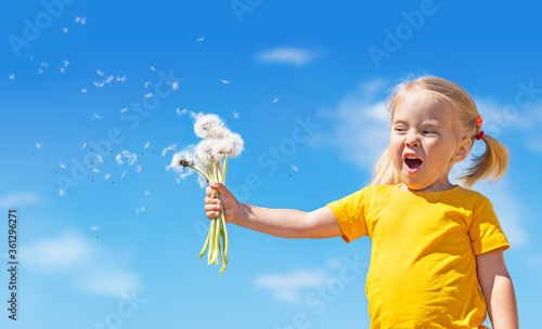 A little girl in a yellow t shirt blows off a dandelion on a summer day against blue sky. A cheerful happy child with dandelions.