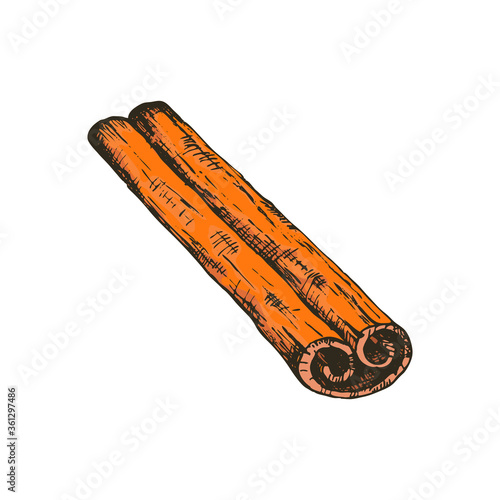 Vector illustration of cinnamon stick in freehand style drawings. Spices and seasonings for Asian cuisine, masala tea, coffee and mulled wine